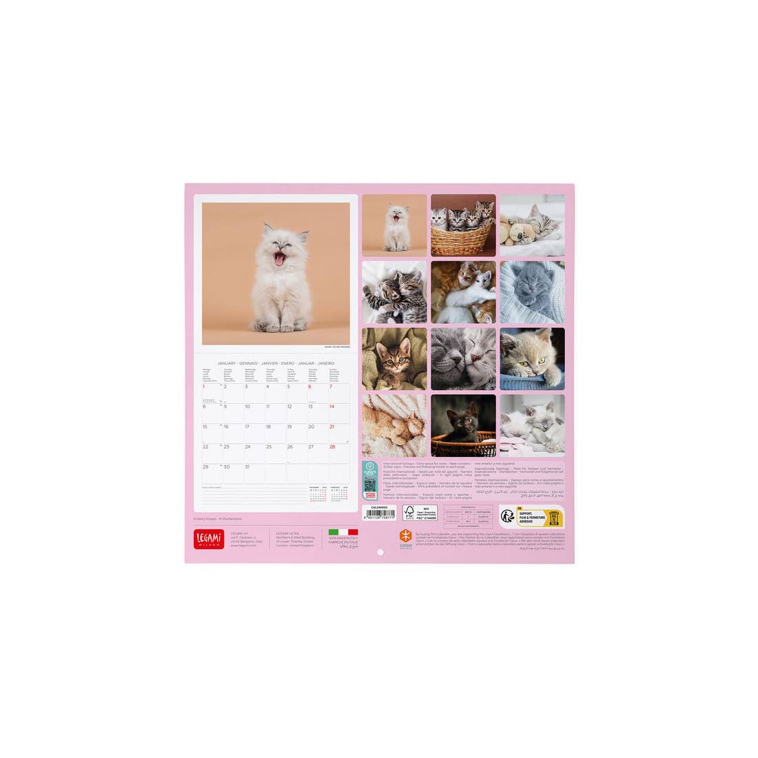2024 Calendario Da Muro 30x29cm Legami - Kittens